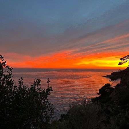⭑ Sea Views + Private Beach. What Else? ⭑ Tossa de Mar Dış mekan fotoğraf