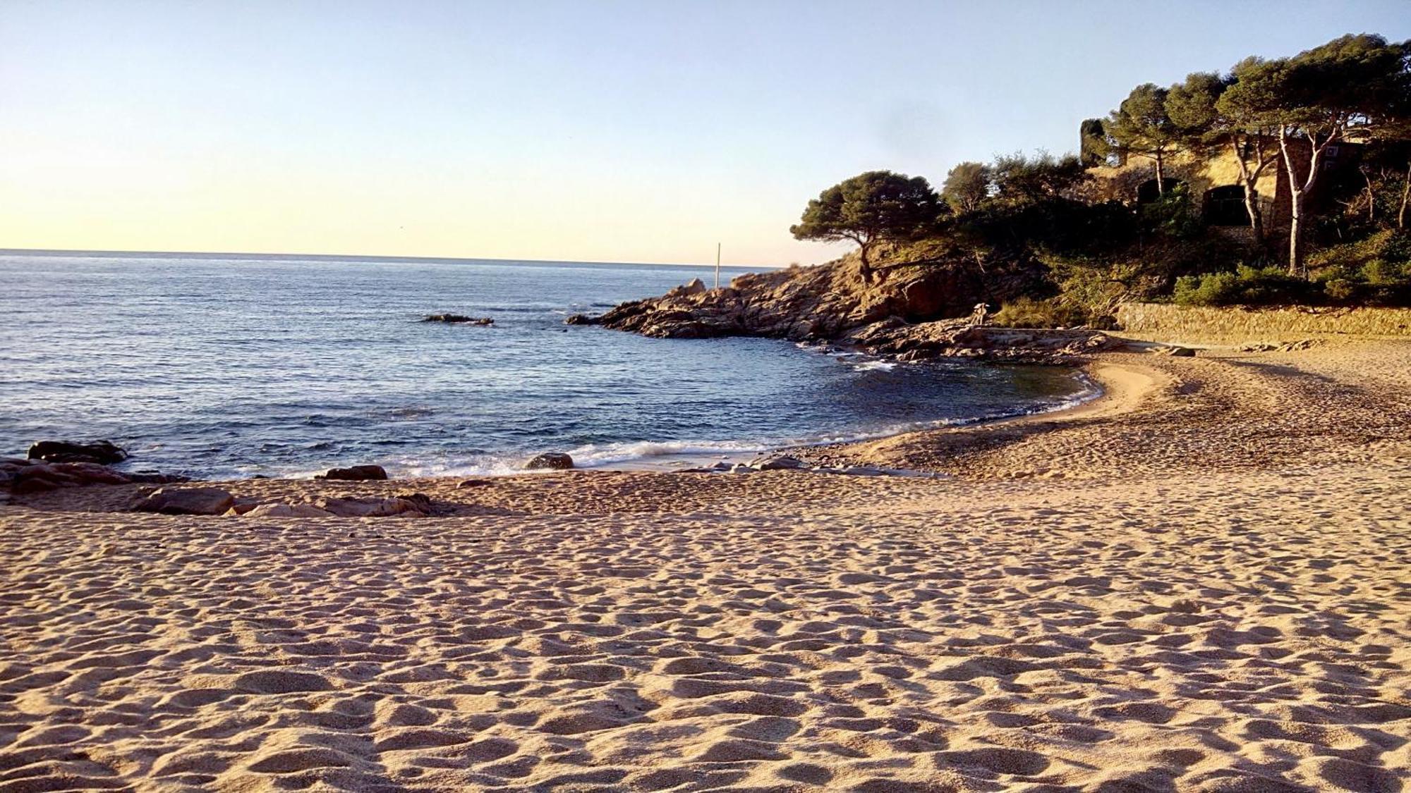 ⭑ Sea Views + Private Beach. What Else? ⭑ Tossa de Mar Dış mekan fotoğraf